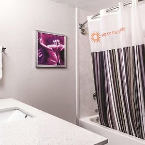 Studio Suite